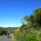 03-IMG_6516