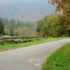 17-IMG_3864