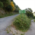 DSCN9278