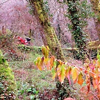 23-IMG_4159