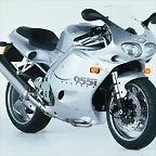 9133386_triumph955