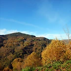 DSCN9294