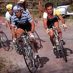 1984,TOUR DE LOMBARDIA.