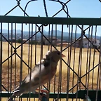 IMG_20191006_121844