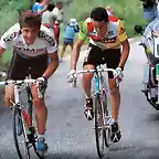 Perico-Tour1987-Villard Lans-Roche13