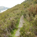 DSCN9274