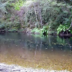 DSCN3176