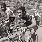 TOUR DE 1977-FERNANDO MENDES-MERCKX