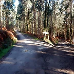 DSCN3074