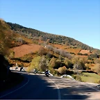 DSCN8811
