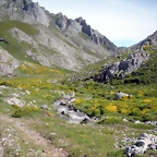 DSCN8207