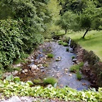 DSCN1586