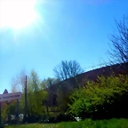 DSCN4592