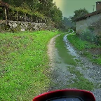 06-IMG_3135