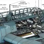 AVENGER-cutaway