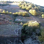DSCN6477