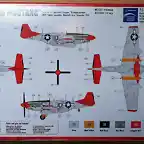 p51 (3)