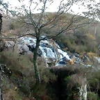 DSCN6692