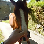 DSCN1059