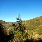 DSCN7801