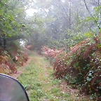 DSCN8419
