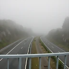 DSCN8420