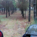 DSCN8418