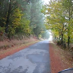 DSCN8422