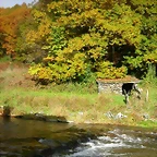 DSCN6092