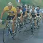 Laurent_Fignon TOUR 1984