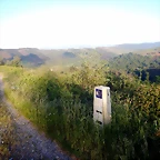 DSCN6281