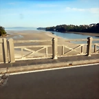 DSCN4965
