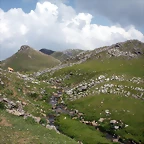 DSCN3641