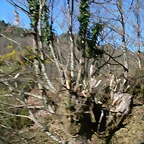 DSCN8028