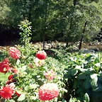 DSCN8534