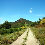 DSCN4857