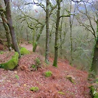 54-IMG_4568 - copia