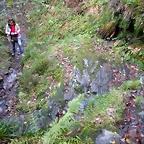 DSCN0668