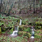 DSCN2859