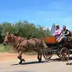 26, en coche de caballos, marca