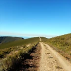 DSCN8860