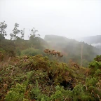 DSCN8465