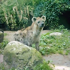 PIC03534