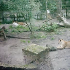 PIC03490