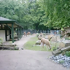 PIC03296