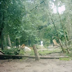 PIC03487