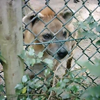 PIC03541
