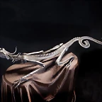 dragons (6)
