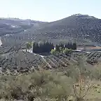 001, loma del pino