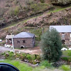 DSCN9124
